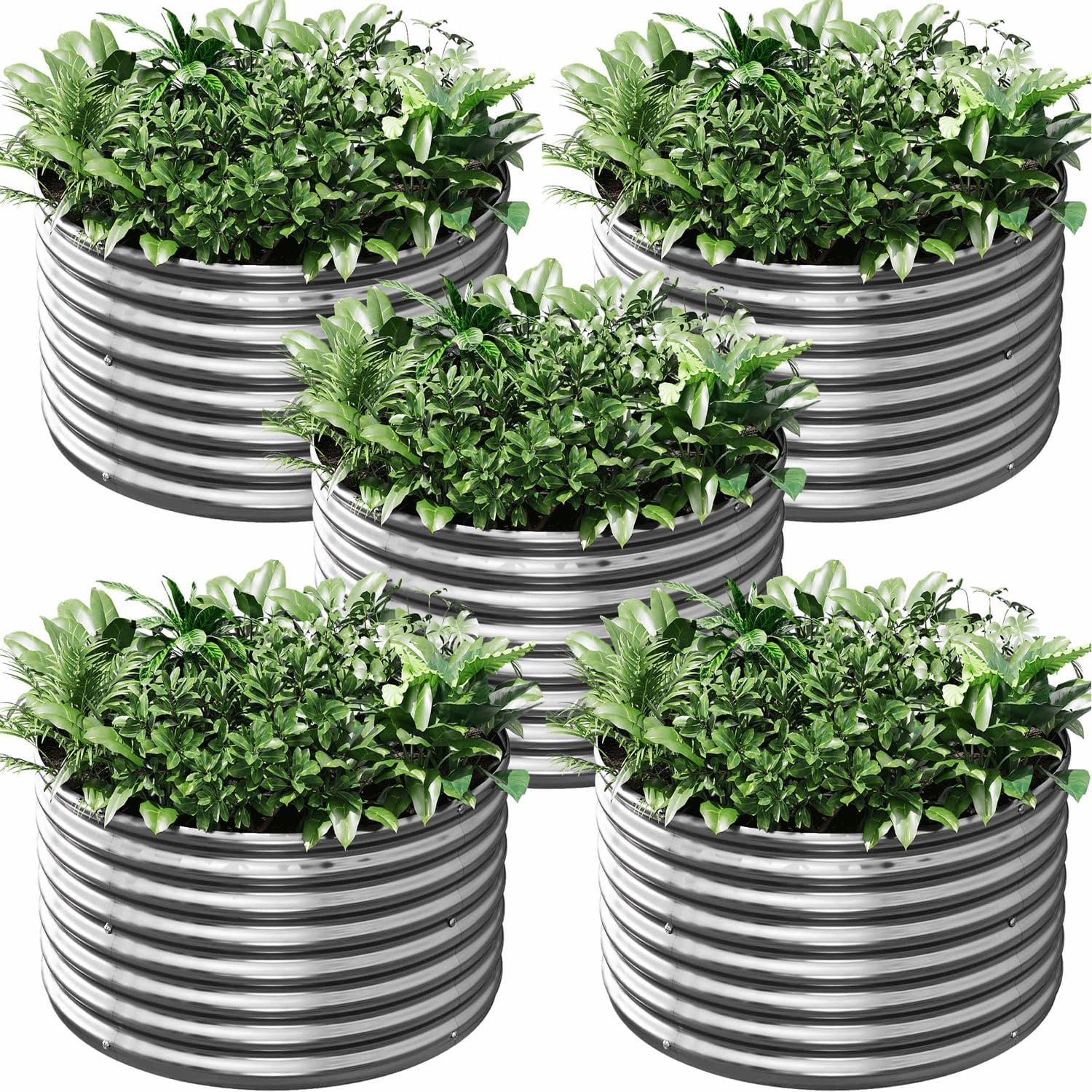 4 Pack 2x2FT Round Corrugated Galvanized Steel Raised Garden Bed Outdoor, Metal Above Ground Garden Bed for Vegetables and Flowers, Raised Beds for Gardening-2x2FTx10Inch