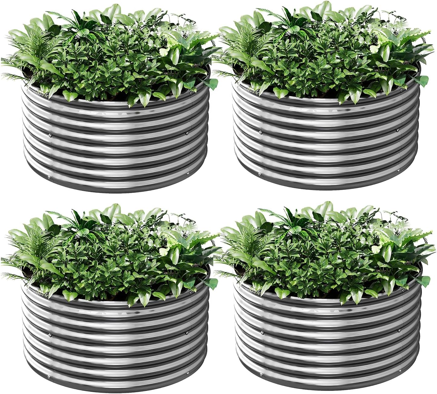 4 Pack 2x2FT Round Corrugated Galvanized Steel Raised Garden Bed Outdoor, Metal Above Ground Garden Bed for Vegetables and Flowers, Raised Beds for Gardening-2x2FTx10Inch